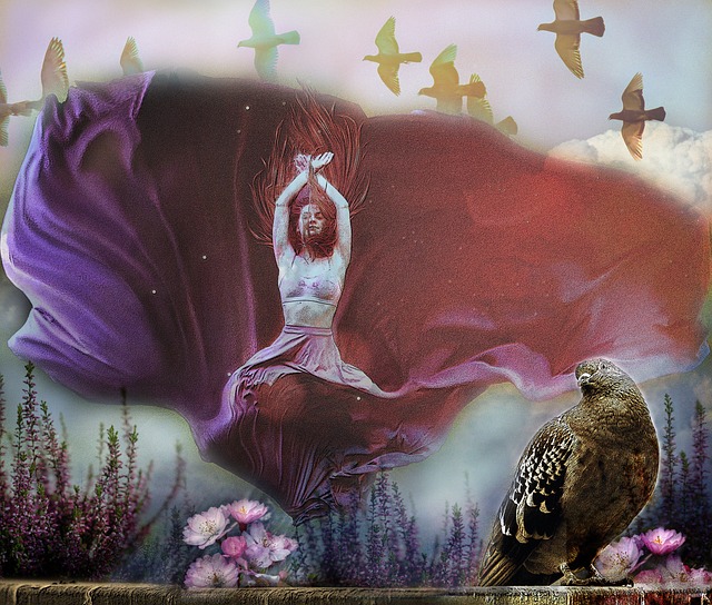 的新热土中 的新热土中