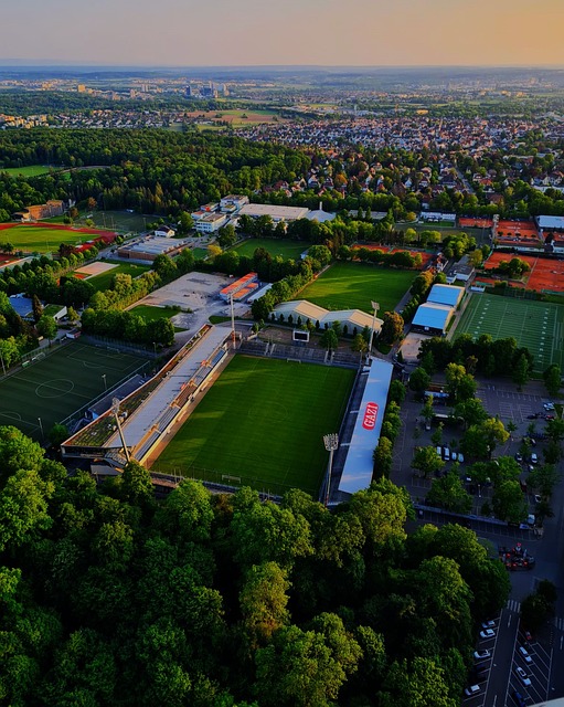 了三球表演 了三球表演