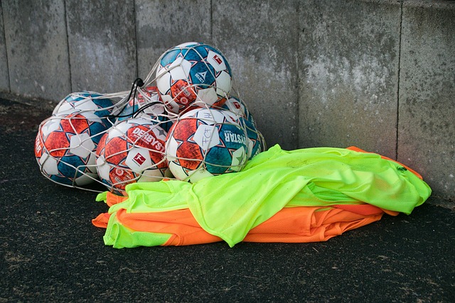 的拼搏努力 的拼搏努力