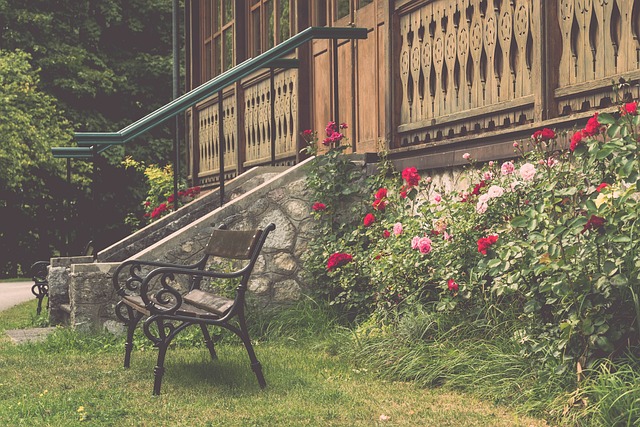 下曾经无疑 下曾经无疑