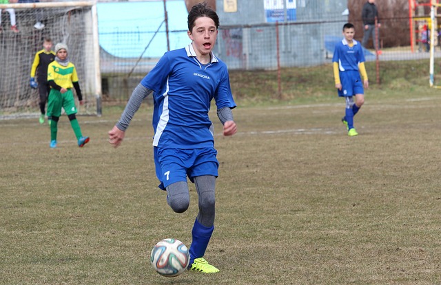 发挥赢得了 发挥赢得了